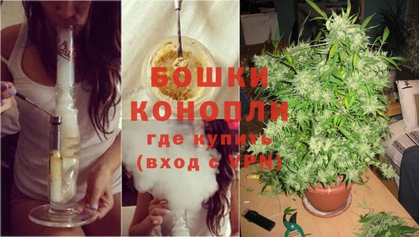 скорость Шали