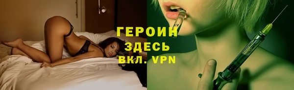 сатива Елизово