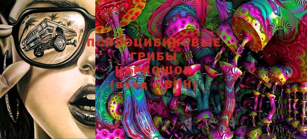 PSILOCYBIN Заводоуковск